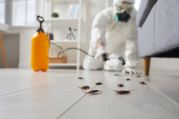 Commercial Kitchen Cockroach Control in Horseshoe Bend